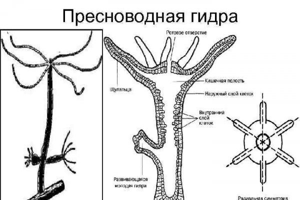 Кракен наркошоп сайт